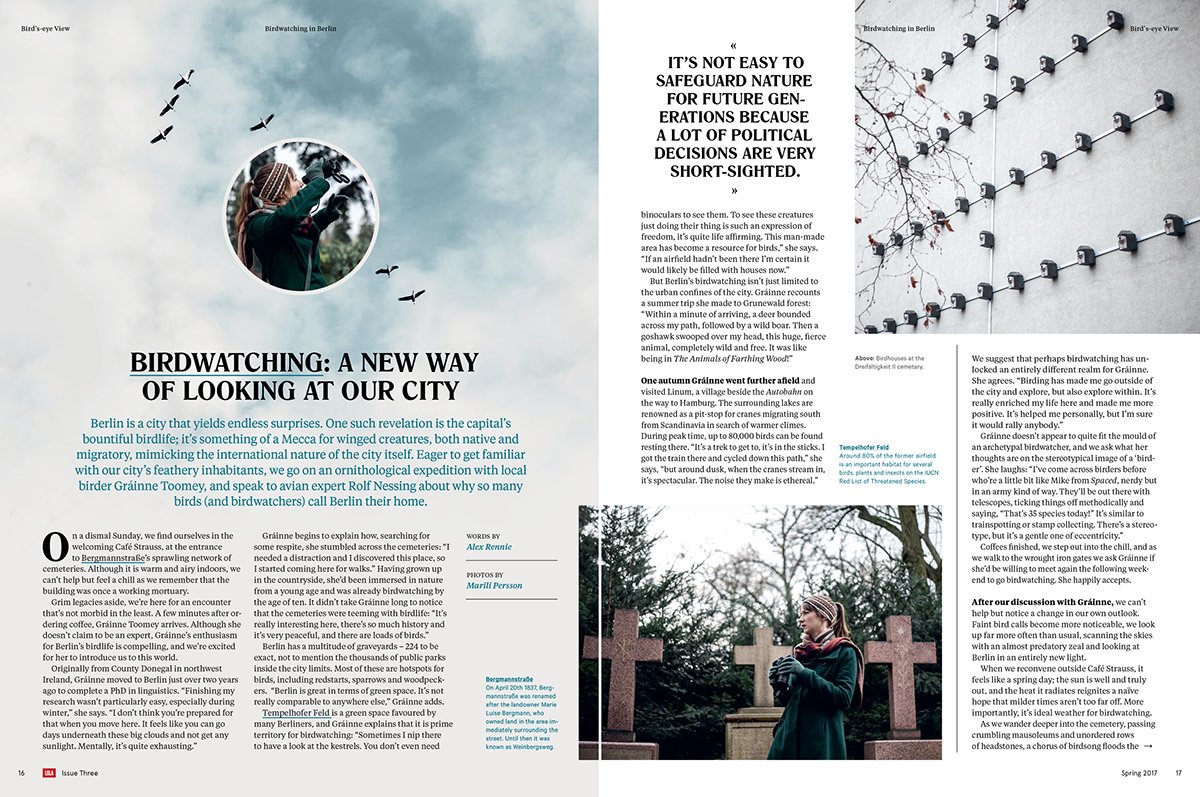 'Birdwatching: A New Way of Looking at Our City' — Berlin nature essay with sky-and-bird imagery and pull quote